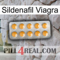 Sildenafil Viagra levitra1